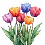 May Flowers